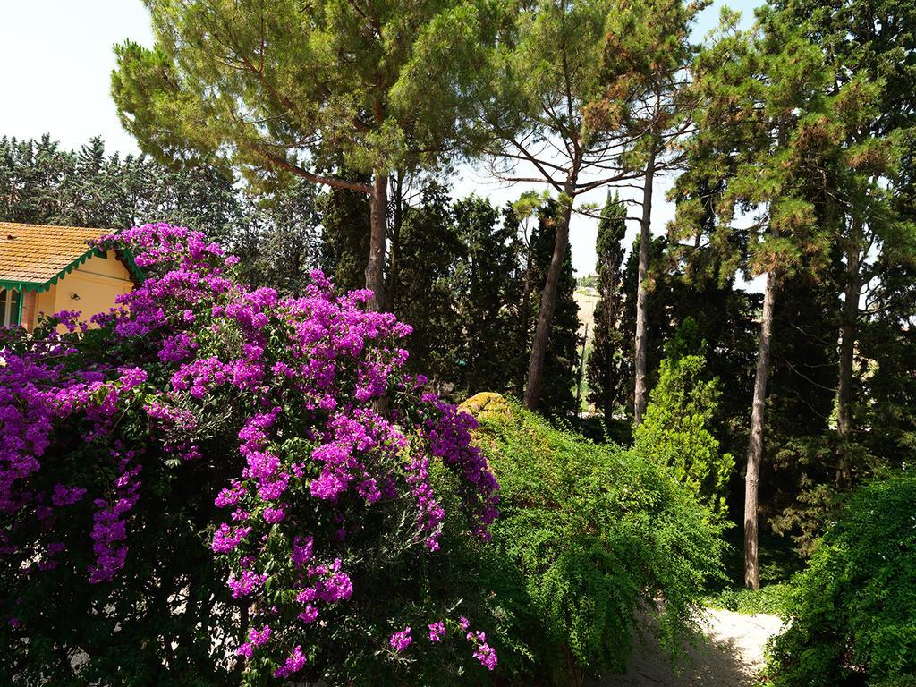 Villa Rosella Resort Roseto Degli Abruzzi Esterno foto